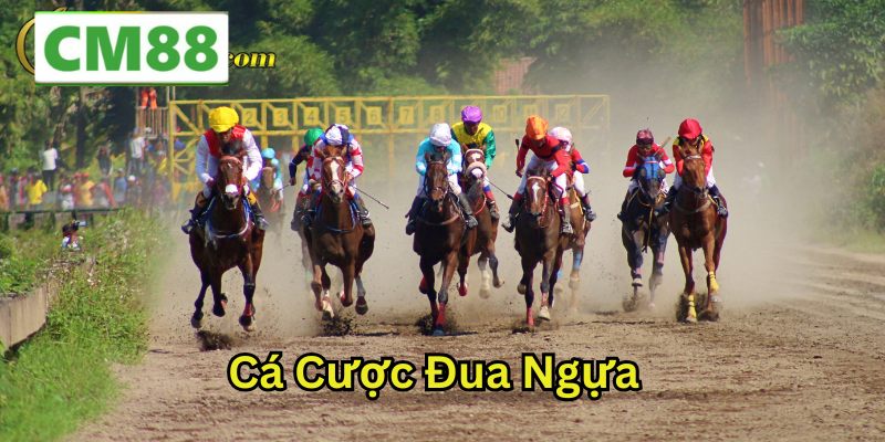 Cách Chơi Cá Cược Đua Ngựa Online