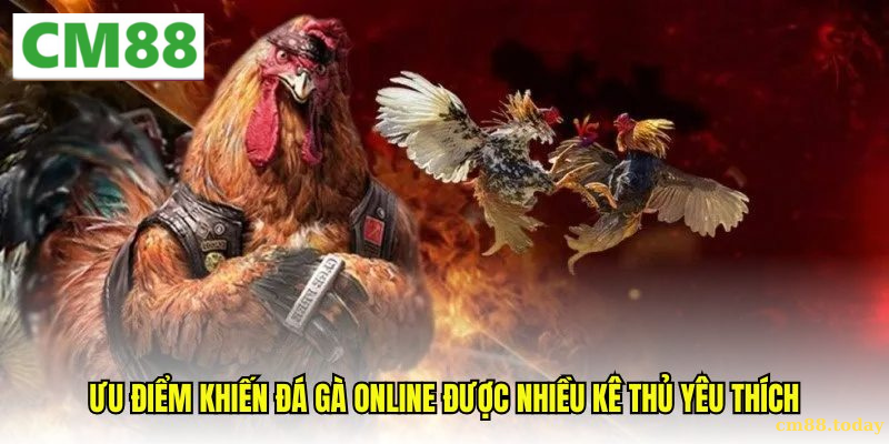 Mẹo tăng cơ hội thắng trong Đá gà online